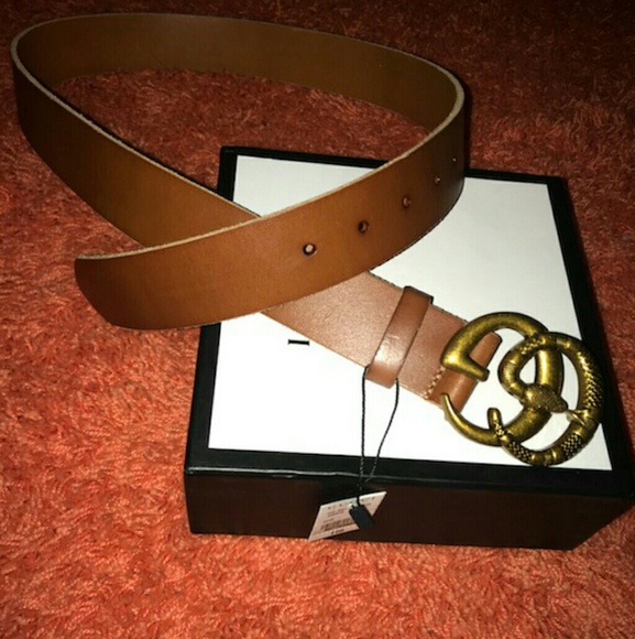 brown gucci snake belt